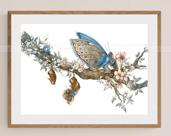 Poster 50 x 70 cm - Fairy theme - The birth of fairies - Illustration Delphine GACHE