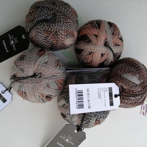 Può includere: Diverse matasse di lana nei toni della terra del marrone, beige e grigio, con etichette nere. La lana ha un effetto cromatico misto. Ogni matassa pesa 50g. Le etichette riportano 'Edition 6'.