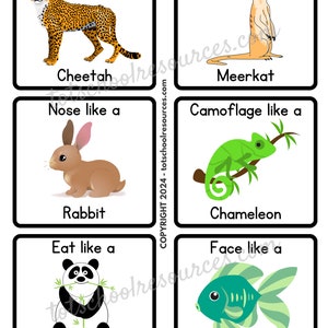 May include: A set of six colorful cards with animal illustrations and action words. Each card features a different animal, such as a cheetah, meerkat, rabbit, chameleon, panda, and fish. The cards are designed for children to learn about animals and actions.