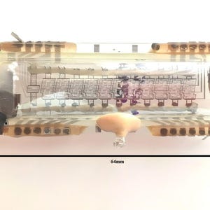 Peut inclure: Un écran rectangulaire en plastique transparent avec une ampoule beige et un circuit imprimé à l'intérieur. L'écran mesure 16,3 cm sur 6,1 cm.