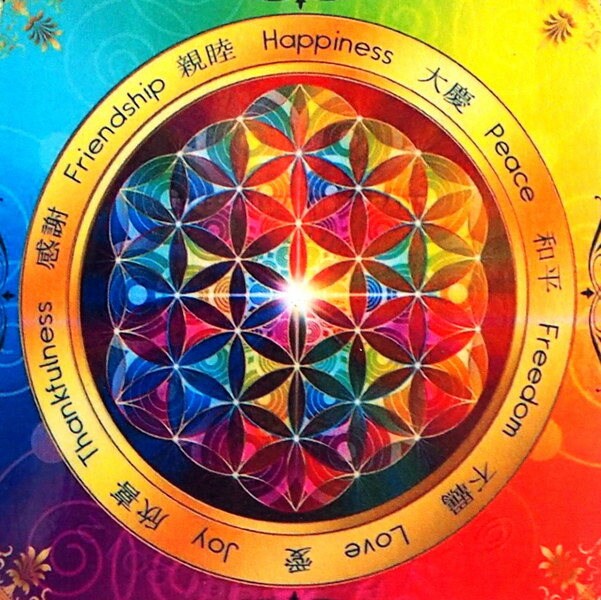 Fleur de Vie Plastifiée Numéro6 10-15-20 cm. Peut Aussi Être Réalisée Dans d' Autres Dimensios. Envo