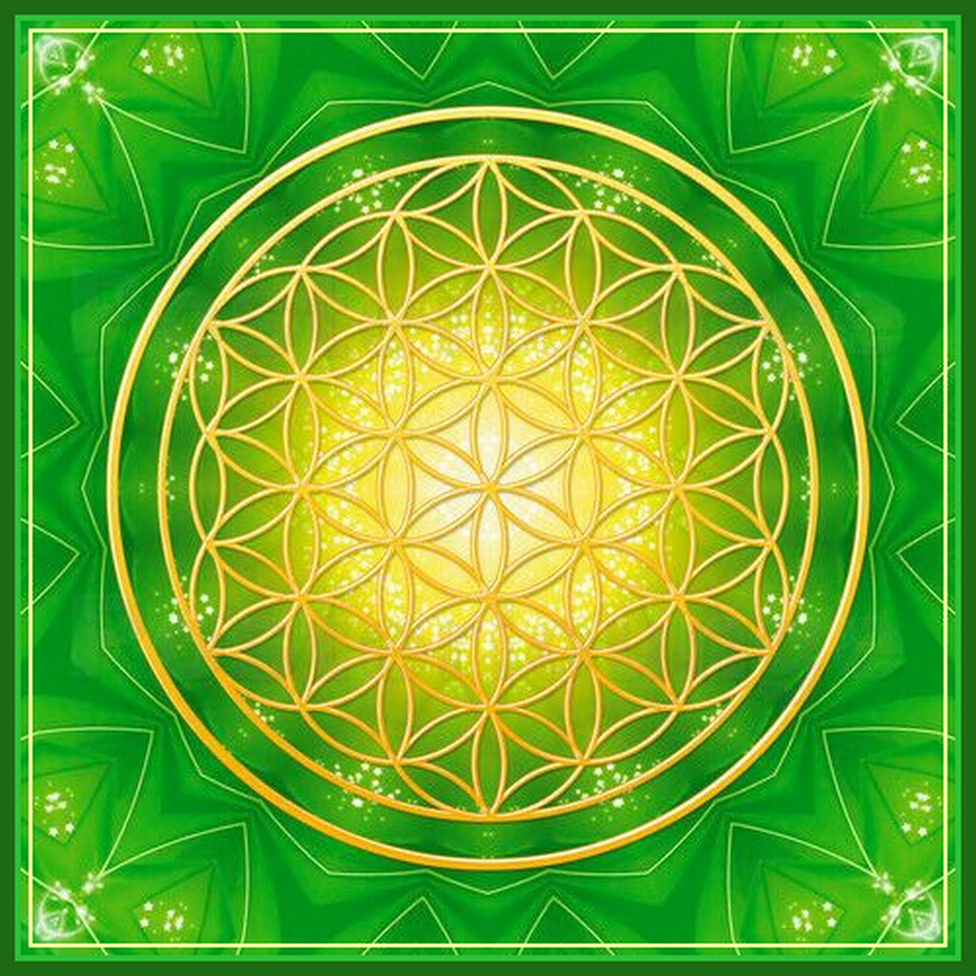 Fleur de Vie Plastifiée 10 ou 15cm. Livraison en Courrier Suivi.