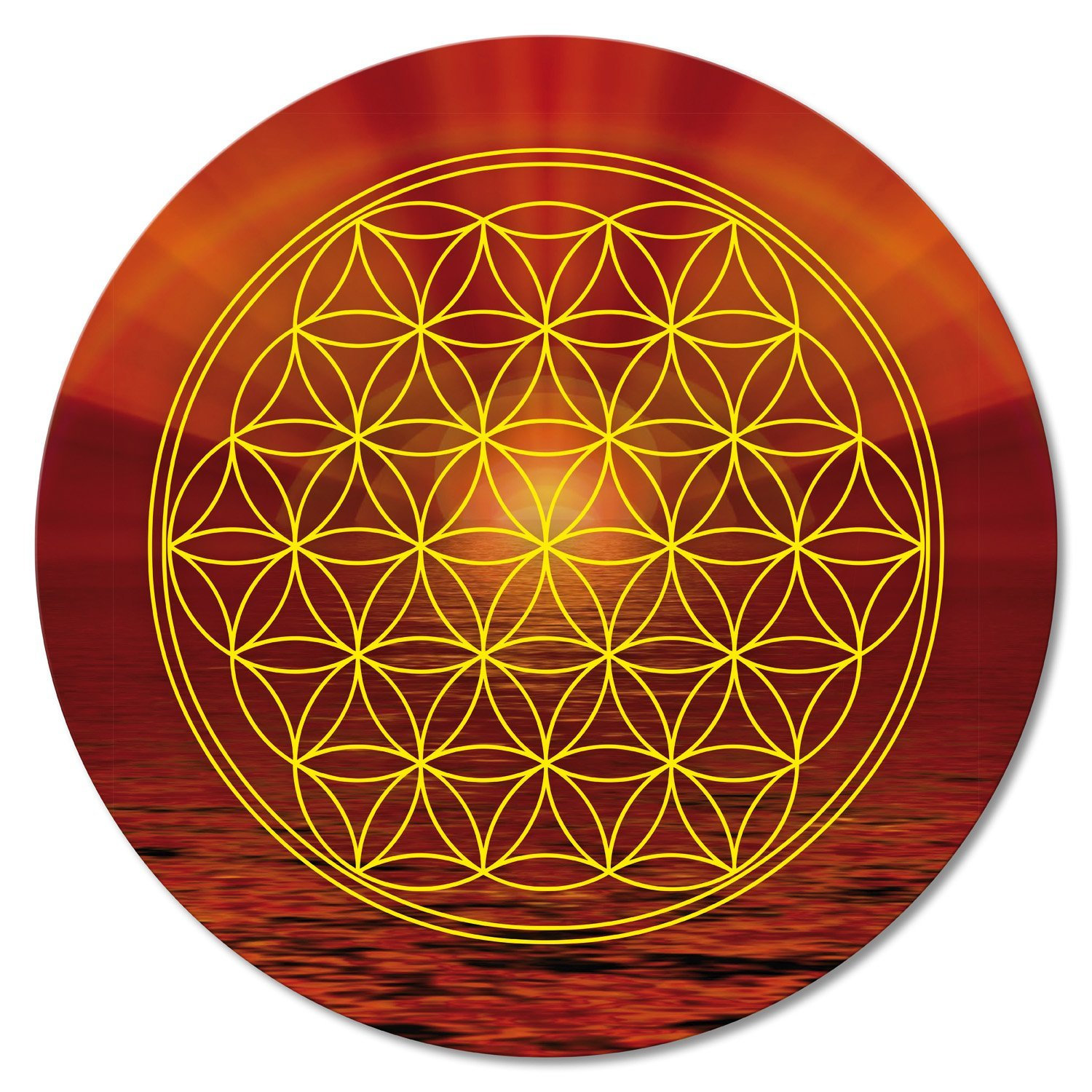 Fleur de Vie Plastifiée Numéro 16 - 10 cm 15cm et 20cm. Peut Aussi Être Réalisée Dans d' Autres Tail