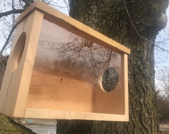 Squirrel Feeder Etsy
