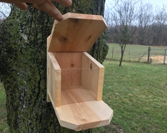 Squirrel Feeder Etsy