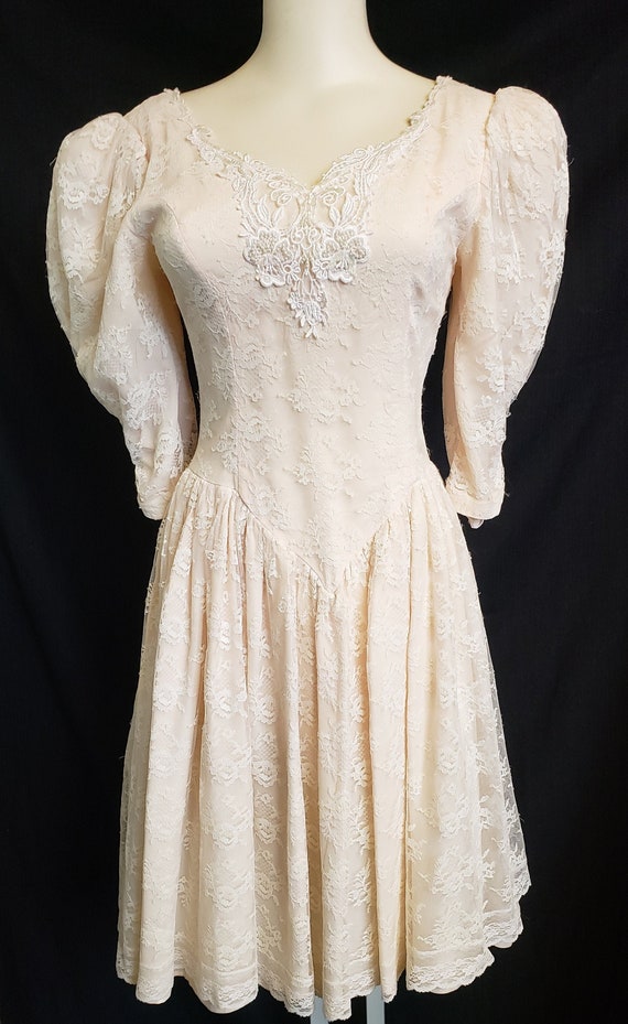 Scott McClintock Flirty, Flouncy, Lace Party Dress