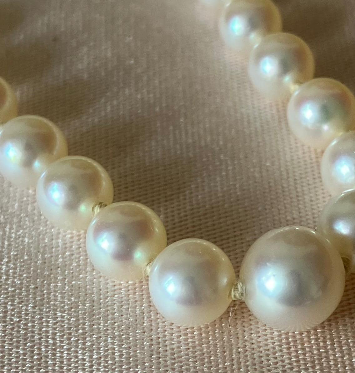 【MIKIMOTO】THE PEARL NECKLACE 1960s Mikimoto Pearl Necklace - Etsy Australia