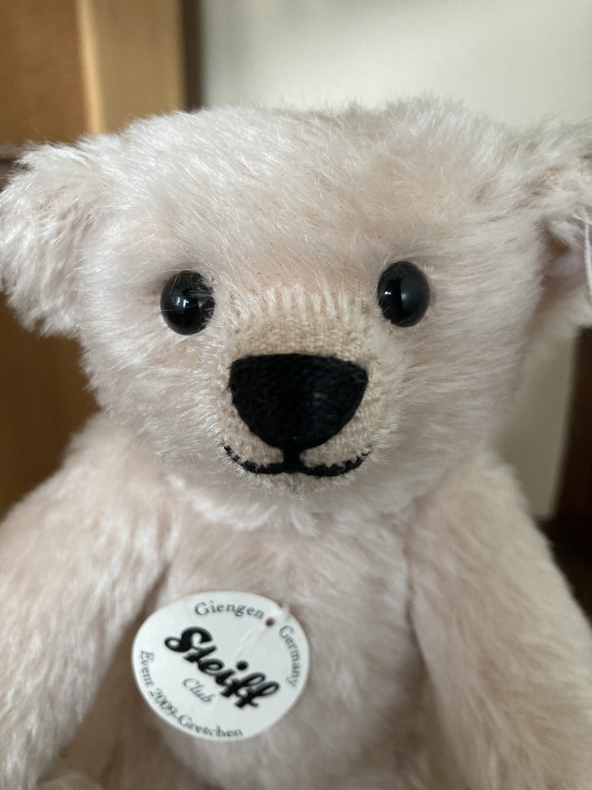 Steiff club bear - Etsy 日本