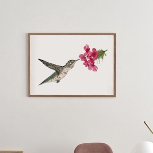 Impression d&#39;art botanique / Colibri / Oiseau / Affiche Vintage Aquarelle / Art mural floral /  Décoration intérieure / Chambre bébé