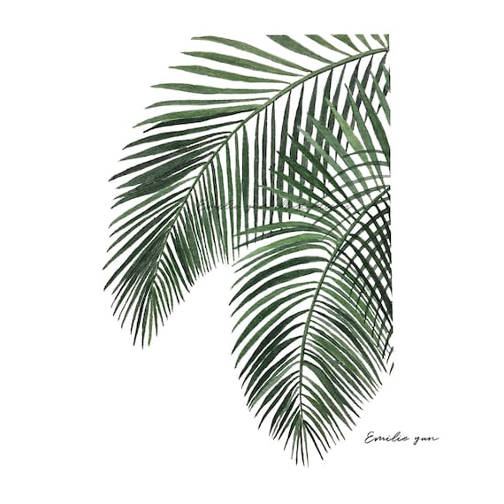 Reproduction Aquarelle Feuille De Palmier Etsy