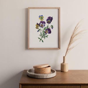 Impression d&#39;art botanique / Pensées / Affiche Vintage Aquarelle / Art mural floral /  Décoration intérieure