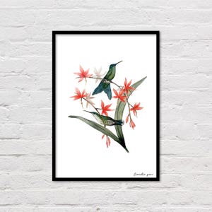 Reproduction Aquarelle Colibris image 2