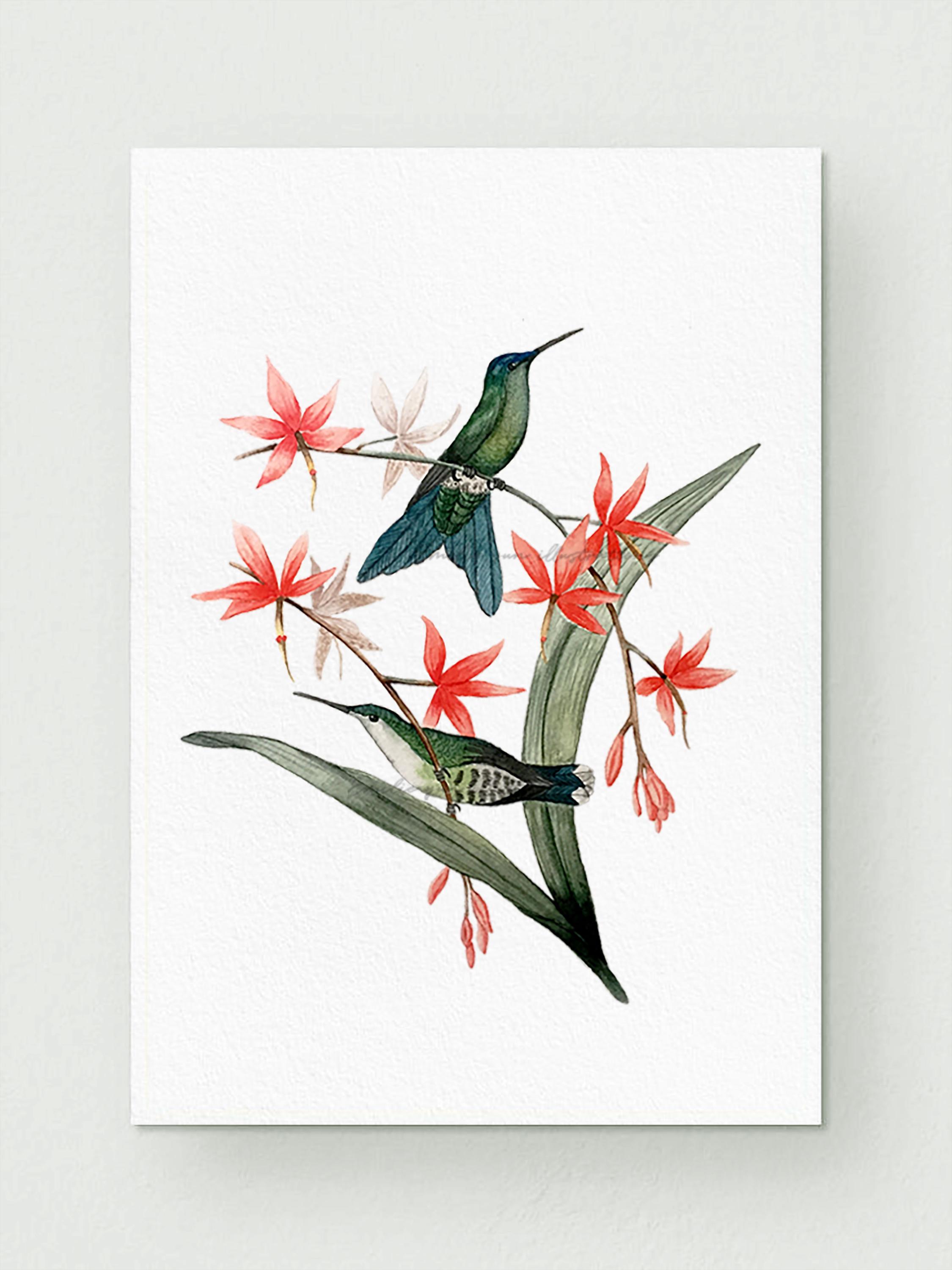 Impression D'art Botanique / Colibris / Affiche Vintage Aquarelle / Art  Mural Floral / Décoration Intérieure - Etsy, image size:2250x3000