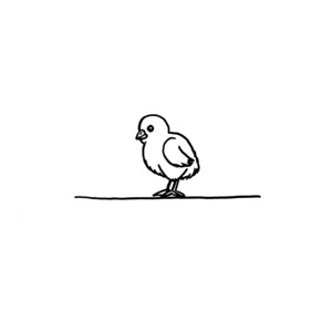 Baby Chick