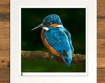 Wildlife Art Print, Kingfisher