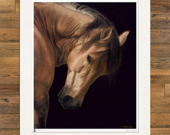 Wildlife Art Print, Horse