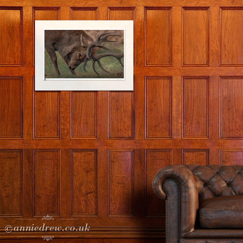 Wildlife Art Print, Stag image 3