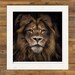 see more listings in the Big Cats section