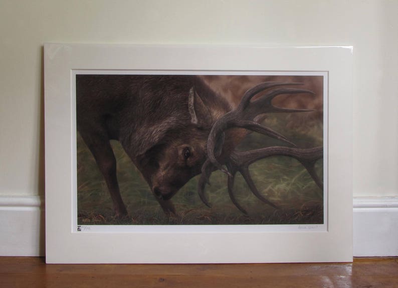 Wildlife Art Print, Stag image 7