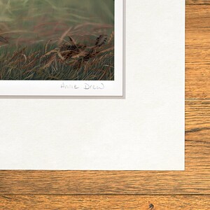 Wildlife Art Print, Stag image 5