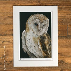 Wildlife Art Print, Barn Owl