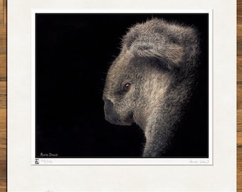 Wildlife Art Print, Koala