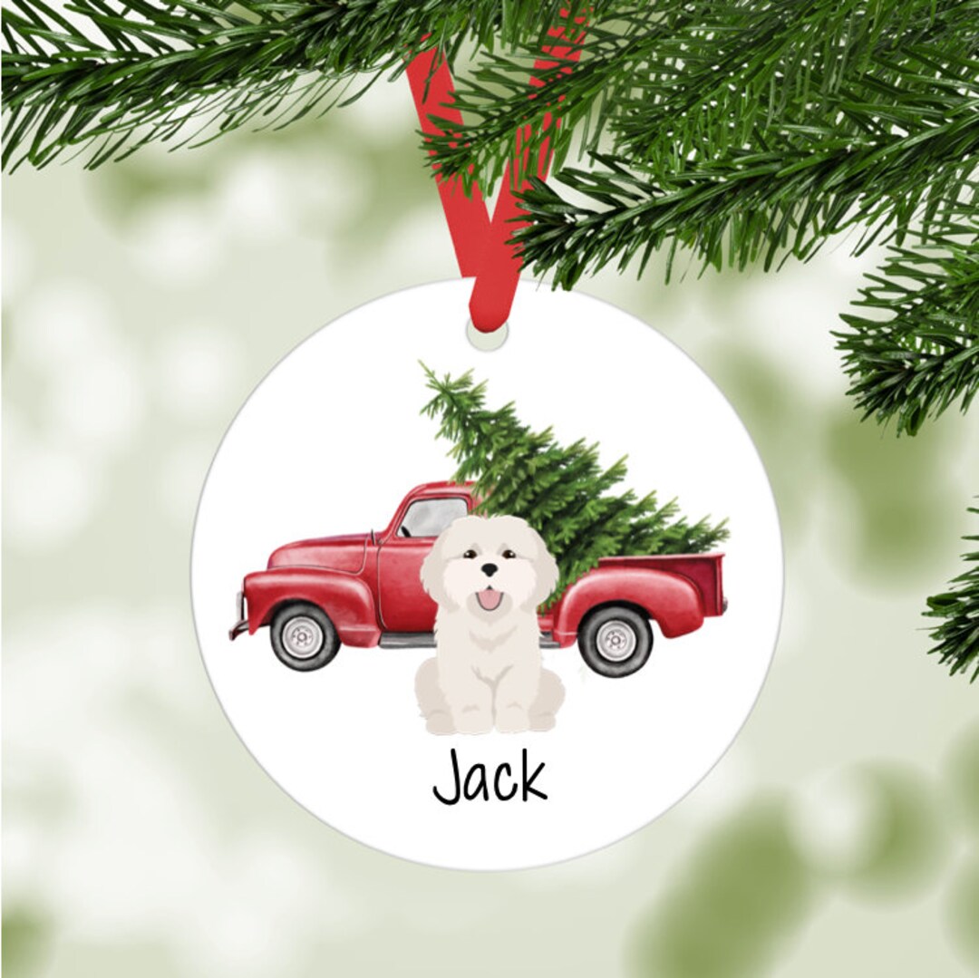 Coton De Tulear Ornament Personalized Etsy