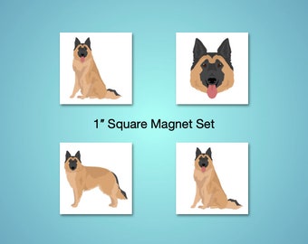 Belgian Tervuren 1 inch magnet set