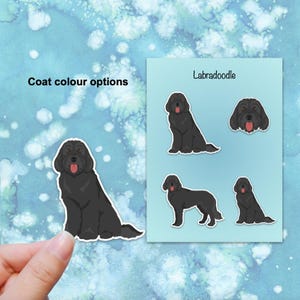 Ensemble d'autocollants en vinyle Labradoodle (labrador retriever/caniche)