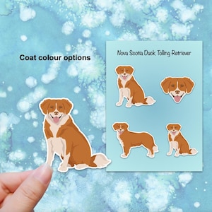 Nova Scotia Duck Tolling Retriever Vinyl Sticker Set