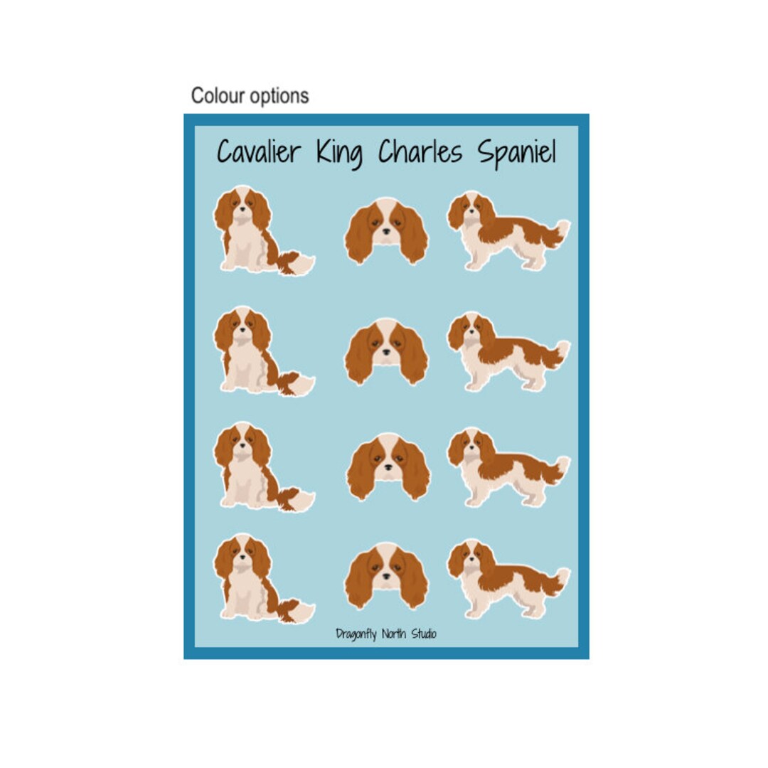 Cavalier King Charles Spaniel Vinyl Sticker Sheet - Etsy