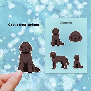 Ensemble d'autocollants en vinyle Goldendoodle