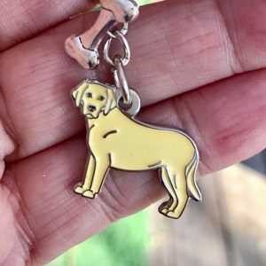 May include: A silver charm featuring a bone and a yellow Labrador Retriever. The charm is attached to a silver chain.