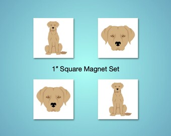 Chesapeake Bay Retriever 1 inch magnet set