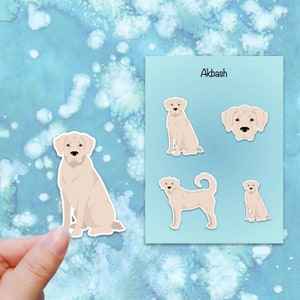 May include: A set of Akbash dog stickers in various poses. The stickers feature a light beige dog with a white outline. The stickers are on a blue background with a watercolor effect. One sticker is being held by a hand.