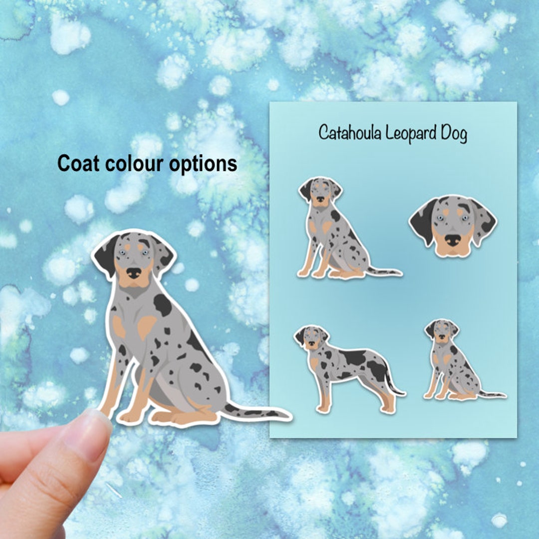 Catahoula coat sales