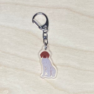 Peut inclure: Un porte-clés en acrylique transparent avec une illustration d'un chien assis. Le chien a la tête et les oreilles marron, avec un corps blanc tacheté de taches marron. Le porte-clés comprend un fermoir et une chaîne de couleur argent.