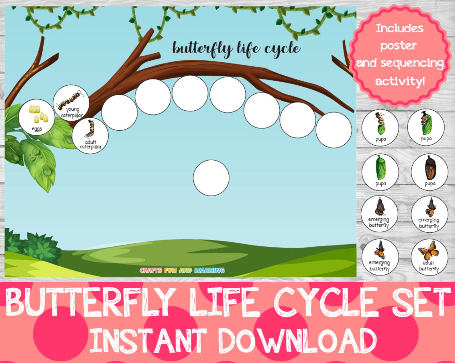 Butterfly Life Cycle Set Memory Game Butterfly Activity Etsy Australia