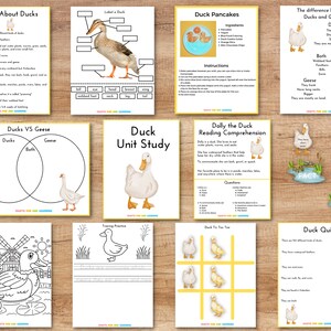May include: A set of printable educational worksheets for a duck unit study. The worksheets include facts about ducks, a duck vs goose Venn diagram, a duck pancake recipe, a reading comprehension activity, a duck quiz, and a duck tic-tac-toe game.