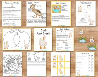 Duck Unit Study, Learning Activity Pack (Digital Download)