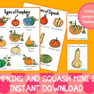 May include: Printable set of colourful illustrations of different types of pumpkins and squash. The set includes posters and flashcards with names of each variety. The text "PUMPKINS AND SQUASH MINI SET INSTANT DOWNLOAD" is at the bottom of the image.