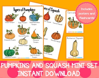 Pumpkin and Squash Mini Set