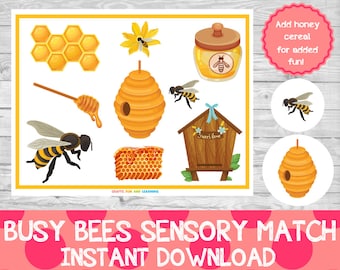 Busy Bees Sensory Match,