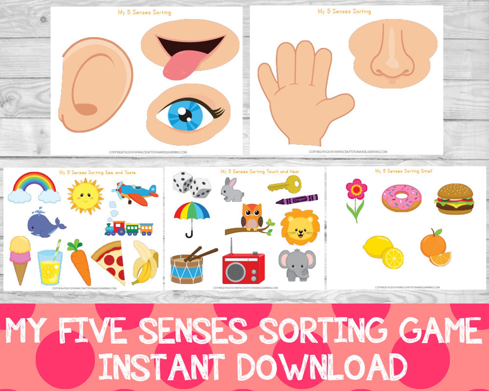 My five. Five senses sorting. тв программа my5. картинки 5 senses. логотип my5.