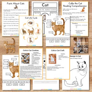 Puede incluir: Una colección de hojas de trabajo educativas sobre gatos, que incluyen datos, diagramas de ciclo de vida, ejercicios de etiquetado anatómico, comprensión lectora, recetas de galletas y plantillas de manualidades ilustradas.
