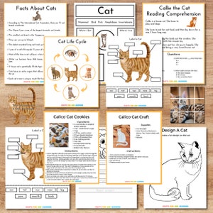 Peut inclure: Une feuille de travail éducative imprimable pour les enfants sur les chats. La feuille de travail comprend des faits sur les chats, un diagramme du cycle de vie du chat, une activité de  étiquetage de l'anatomie du chat, un artisanat de chat calico et une recette de biscuits au chat calico.