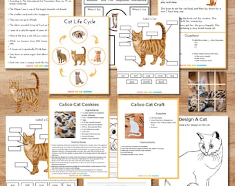 Cat Learning Pack, Cat Third and Fourth Grade Learning Pack