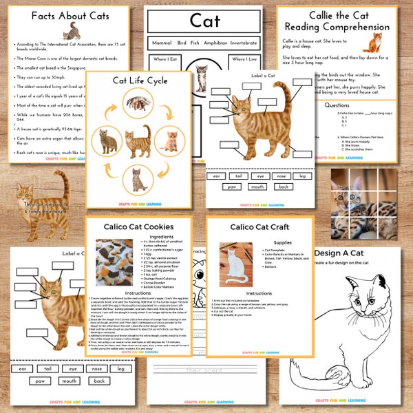 Pack d'apprentissage Cat, Pack d'apprentissage Cat Third et Fourth Grade
