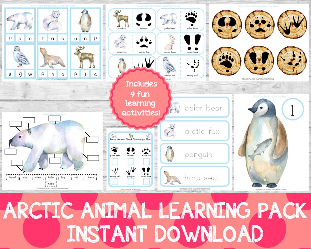 Arctic Animal Learning Pack Winter Learning Pack Winter