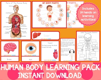 Human Body Learning Pack, Anatomy Science Activities (Digital Download)